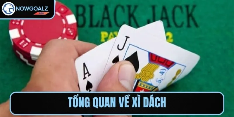 Xì dách là trò chơi bài thú vị với chiến lược và may mắn