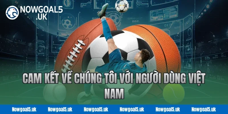Cam Kết Về Chúng Tôi Với Người Dùng Việt Nam
